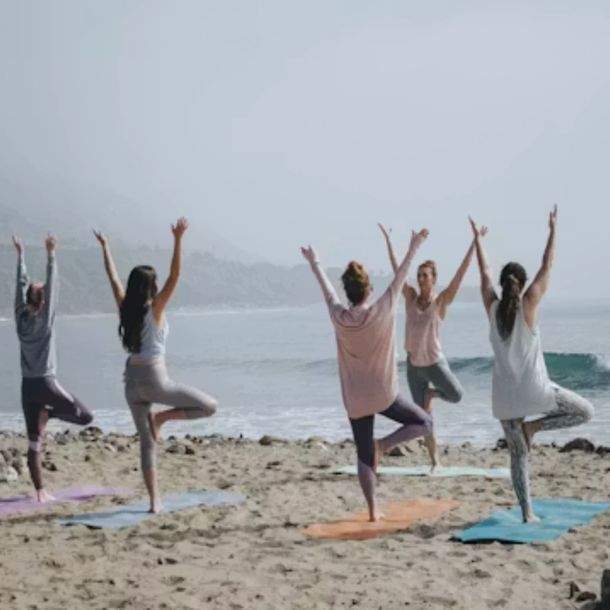 Wellbeing Programs